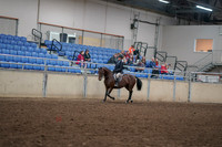 2019 Morgan Horse Show - Aug 30, 2019 - 12654