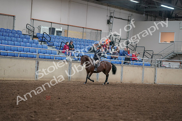 2019 Morgan Horse Show - Aug 30, 2019 - 12654