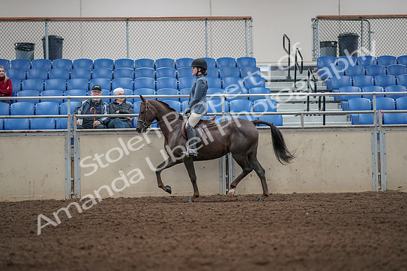 2019 Morgan Horse Show - Aug 31, 2019 - 05007