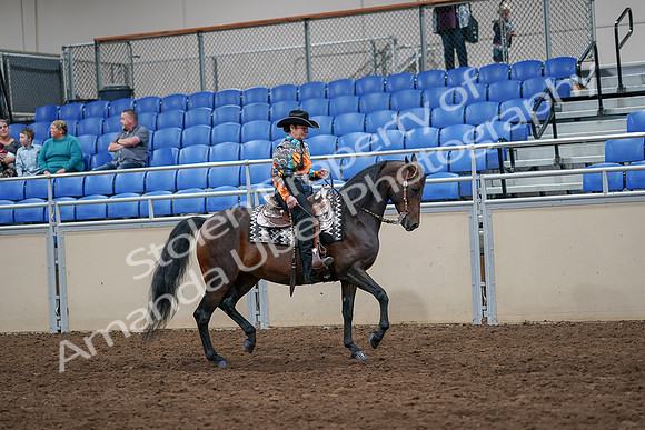 2020 - AB Morgan Horse - Sun, Sept 06 - 07566