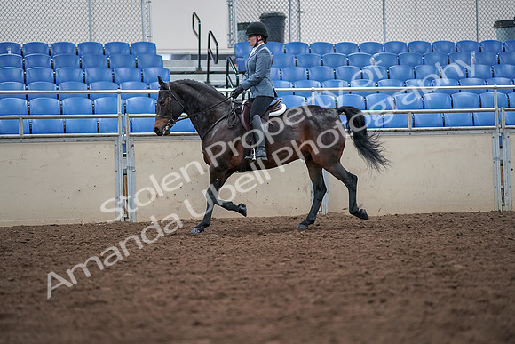 2019 Morgan Horse Show - Aug 30, 2019 - 18416