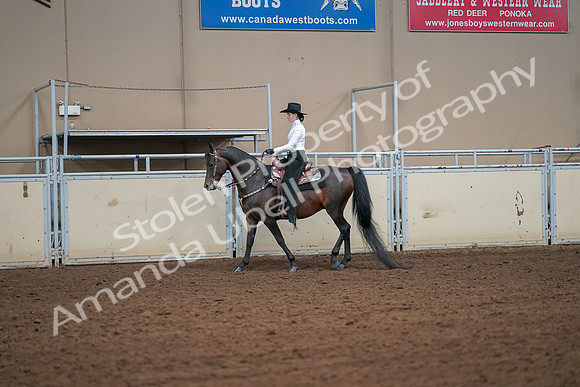 2019 Morgan Horse Show - Aug 30, 2019 - 16899