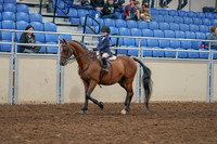 2020 - AB Morgan Horse - Sat, Sept 05 - 01749