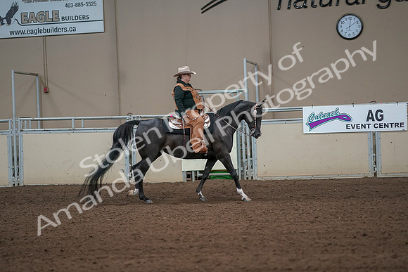 2019 Morgan Horse Show - Aug 31, 2019 - 06165