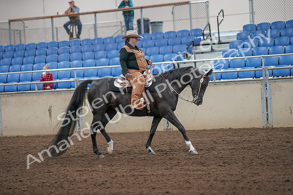 2019 Morgan Horse Show - Aug 31, 2019 - 06204