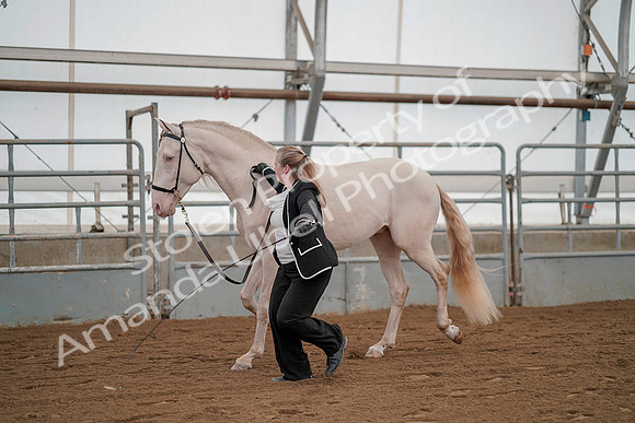 July 19, 2019 - 1317