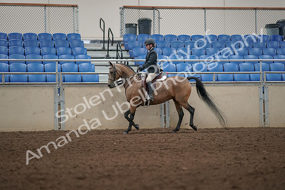 2019 Morgan Horse Show - Aug 31, 2019 - 04992