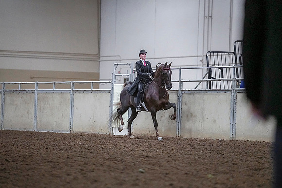 Spring Fling - Saturday - April 20, 2019  -  03617