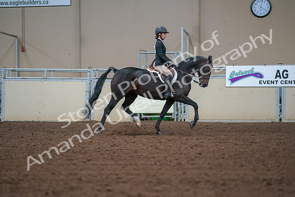 2019 Morgan Horse Show - Aug 30, 2019 - 20780