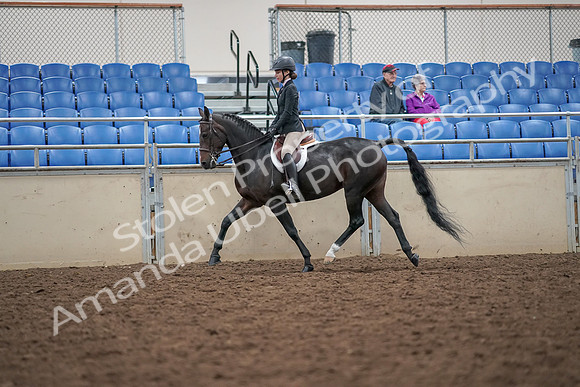 2019 Morgan Horse Show - Aug 30, 2019 - 20102