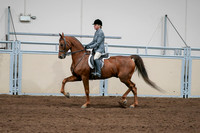 2020 - AB Morgan Horse - Sat, Sept 05 - 03039