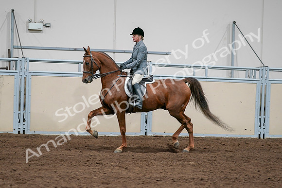 2020 - AB Morgan Horse - Sat, Sept 05 - 03039