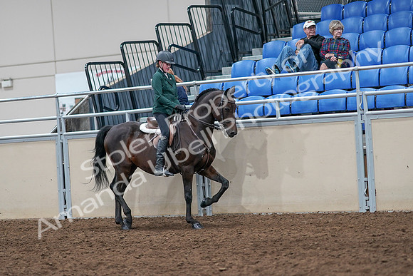 2020 - AB Morgan Horse - Sat, Sept 05 - 05142