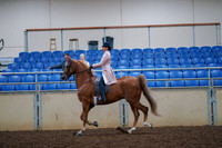 2019 Morgan Horse Show - Aug 30, 2019 - 21394