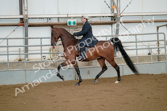 July 21, 2019 - 01571