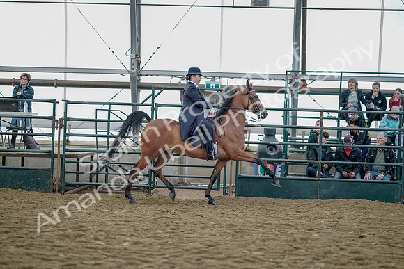 July 20, 2019 - 13957