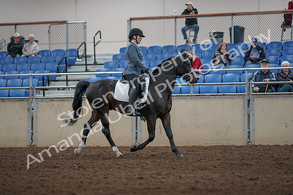 2019 Morgan Horse Show - Aug 31, 2019 - 07450
