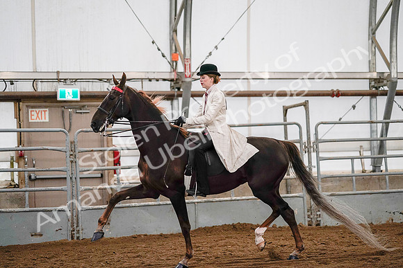 July 19, 2019 - 8993