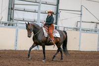 2020 - AB Morgan Horse - Sun, Sept 06 - 01540