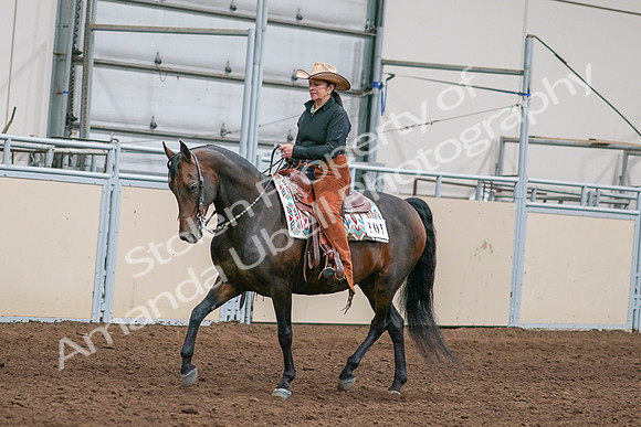 2020 - AB Morgan Horse - Sun, Sept 06 - 01540