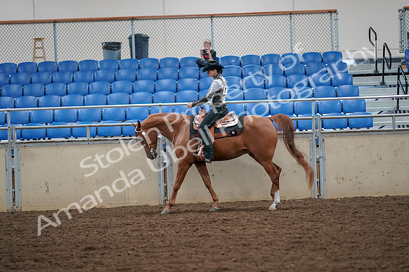 2019 Morgan Horse Show - Aug 30, 2019 - 16863