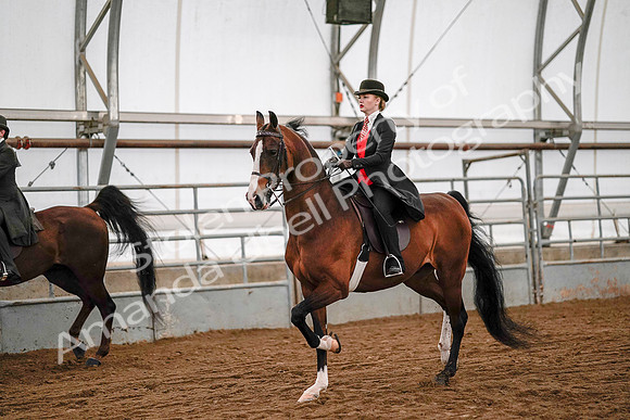 July 19, 2019 - 8798
