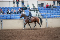 Class 127A - Academy Walk Trot Any Age