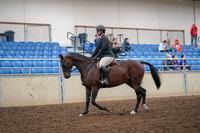 2019 Morgan Horse Show - Aug 30, 2019 - 29219