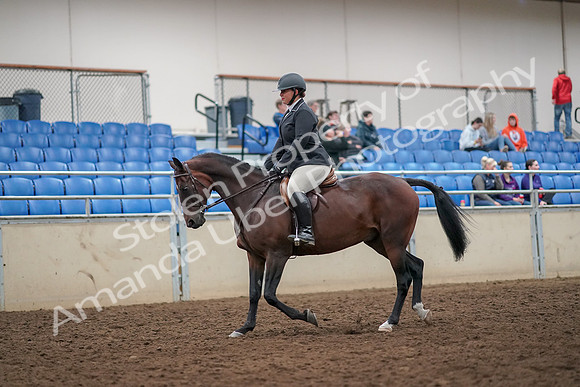 2019 Morgan Horse Show - Aug 30, 2019 - 29219