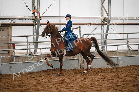 July 19, 2019 - 8677