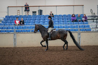 2019 Morgan Horse Show - Aug 30, 2019 - 27202