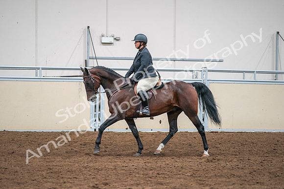 2020 - AB Morgan Horse - Sat, Sept 05 - 09336