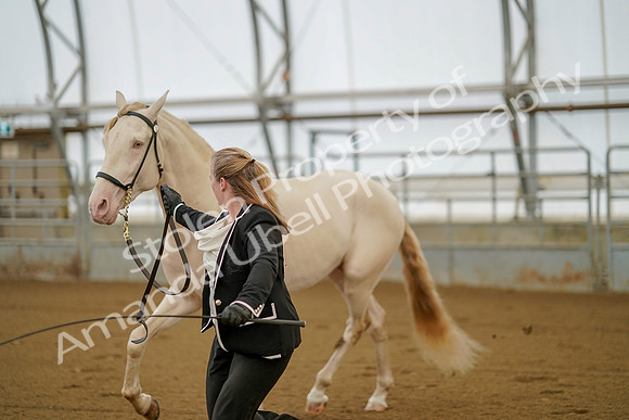July 19, 2019 - 372