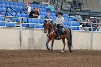 2020 - AB Morgan Horse - Fri, Sept 04 - 05694