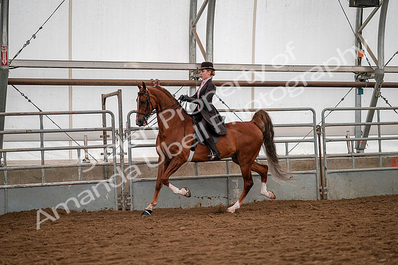 July 19, 2019 - 10331