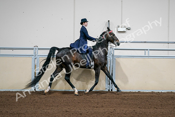 2020 - AB Morgan Horse - Sat, Sept 05 - 06320