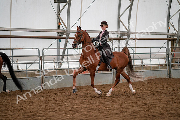 July 19, 2019 - 10498