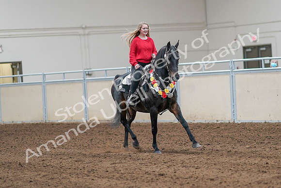 2020 - AB Morgan Horse - Sat, Sept 05 - 10496