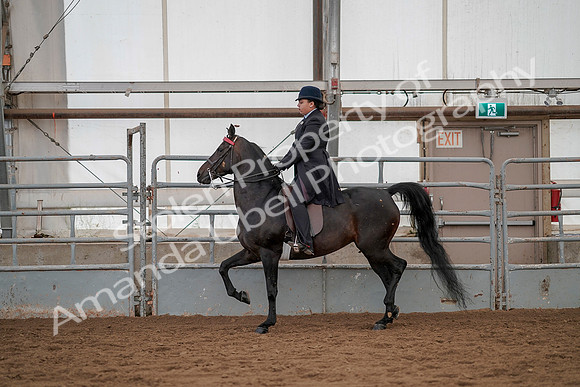 July 20, 2019 - 04223