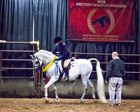 WCB 2015 - 6918
