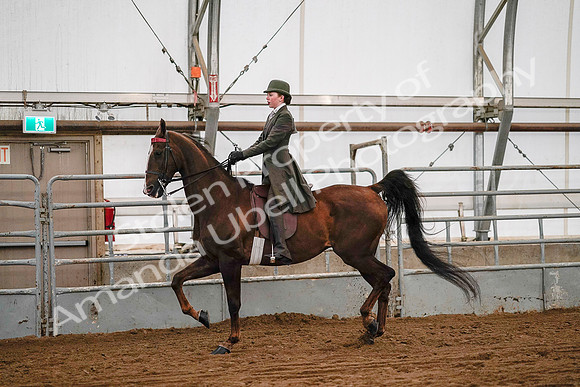 July 19, 2019 - 8905
