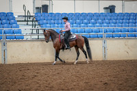2019 Morgan Horse Show - Aug 30, 2019 - 22691