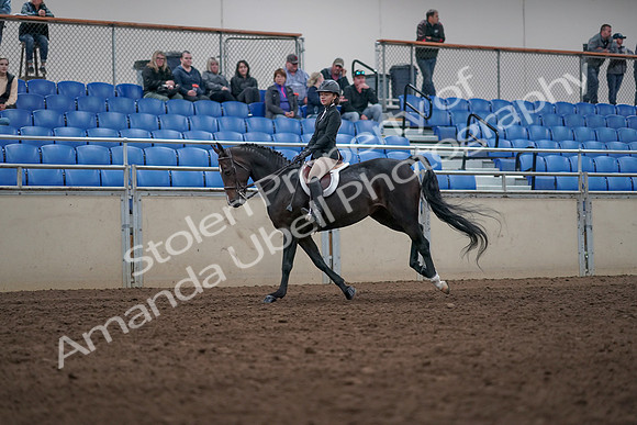 2019 Morgan Horse Show - Aug 31, 2019 - 20602