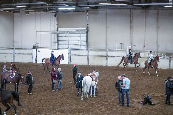 Spring Fling - Saturday - April 20, 2019  -  00345