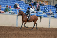 2020 - AB Morgan Horse - Sat, Sept 05 - 10609