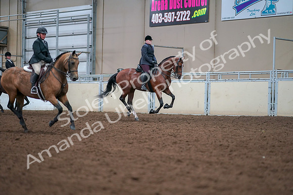 2019 Morgan Horse Show - Aug 30, 2019 - 21049