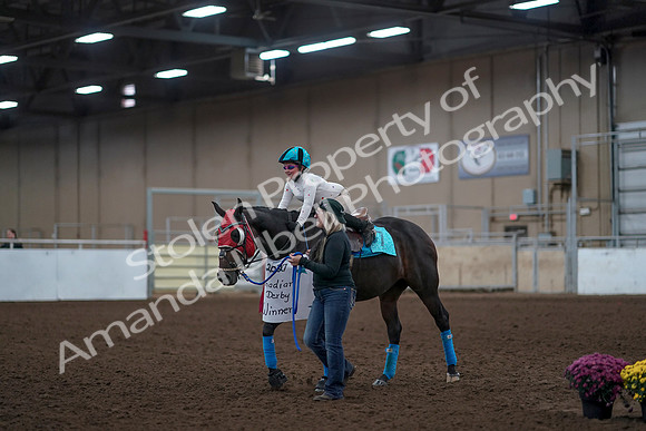 2019 Morgan Horse Show - Aug 31, 2019 - 10100