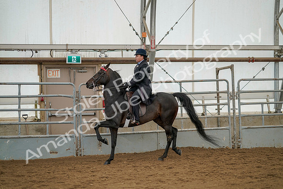July 20, 2019 - 04349