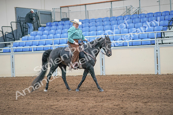 2020 - AB Morgan Horse - Sun, Sept 06 - 01628