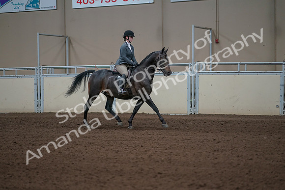 2019 Morgan Horse Show - Sept 01, 2019 - 11047
